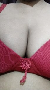 Lema-00 Public Εικόνα 4