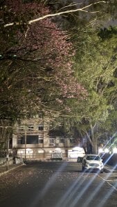 Me in my photograph era de dopa_6917 Foto 3