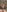 Sophiesinxx: NUDESSS & lots of them! ( 3 фото)