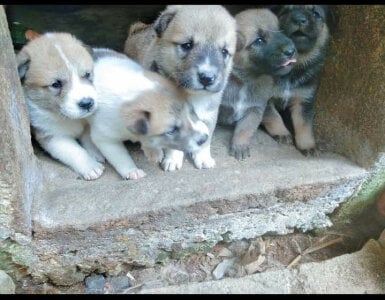 hihi-xxのPublicの枚の写真