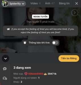 SpiderIily Beacon 사진 3