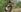 TilaTotti Flashing on a Trail in Public Pic 5