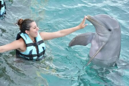 Nahiajhonson_ kullanıcısının My Favorite Place... The Beach 🌊🐬 albümü -  7 fotoğraf