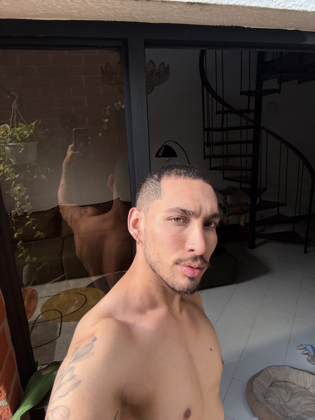 DavidC_ Trending Pic 6582