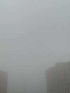 liana_kisses A typical day in my life 🤪 зображення 2