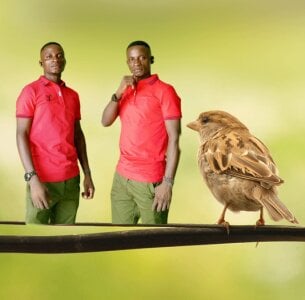 Master_stallionbbc12 Public Pic