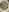 867_haruna ラーメンログ🍜 Pic 6