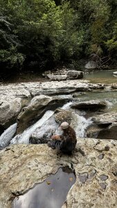 altertyan lige is good Immagine  2