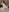 KittyPav Wedding lingerie ⚪️🤍 Pic 7