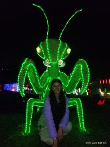 Sofi_cutiee I went to see lights and I want to share it with you 🌸🌲 Εικόνα