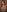 Daneshka1 Ready to Crave Me More? 😈🥵 Pic 2