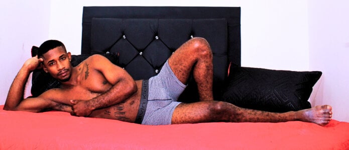 mi osito de blackhorseet  Imagens