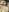 ratschi81 Dick hairy Foto 