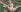 IsabelleEthan Wild and naughty in the forest 💥👀 Pic 9