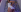 Venus_Williams_ being venus Pic