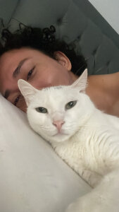 sofi_elfqueen My kitties 😻😻😻😻 Pic 3