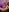 JanyLunaa Hot at the end of the year Immagine  6