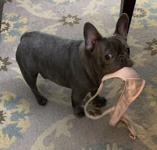 Public de KatunLive Foto