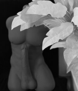 Lindsay_Cutie my toys Pic 4