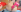 Anal_Queen_Mona 18.01.2024 Pic 5