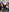 SofiaMadissonBlack dress 35 pics照片 5