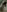 TatianaX0x0Random 🍑 pics照片 4