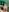 Mr_evan1 Naked and with a hard cock in green color 사진 6