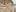DenisseTits Nuda in spiaggia - Naked on the beach Photo 7