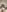 WakeAndBlaze Naughty Blaze March 2024 Pic 9