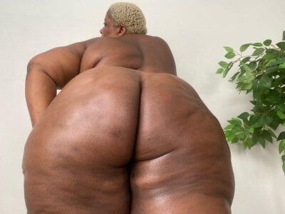 PrudyPressureBoss Booty3 Kuva 2