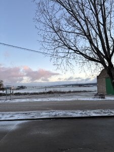 Lily_WellGifted: 2026 ( 2 фото)