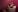 Sofiia_W26 I love seducing you with my new lingerie🙈🍒🍑🥵 Pic 5