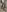 Lizzy_Black Nude? Pic 3