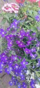 Awelo80@xhPublic Bild