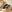 Lustful_Lisa newer photos Pic 5