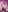 Chanel_Doll_ Candies Shoot 25 Photo 2