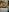SofiaLopez77のNaked in the kitchenの 8枚の写真