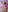 Eileen_storm Do u dare to take off my lingerie? Pic 2