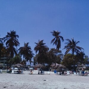 Kim_dreamof Public Kuva 4