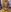Damian_hart_24CM big cock Pic