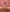 rosexx96 Naked Modeling Pic 4