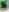 shanon_hughes_ Saint Patrick🍀 Pic 3