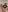 bambigirlxx Exclusive content pussy play bundle Photo 4