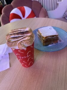 CelesteBailey Going Outside Pic 8