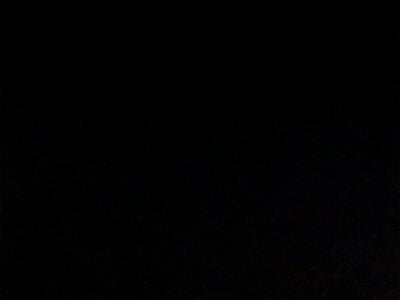 Pistacchio01 NIENTE Pic