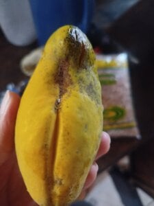 Public od Rodri1k  4 snímek