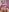 CurvyAnonymousGirl89 Live Pictures Photo 2