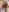 LostDawnMarshmallow照片 7