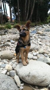 ChrisFloresP Public Pic 3