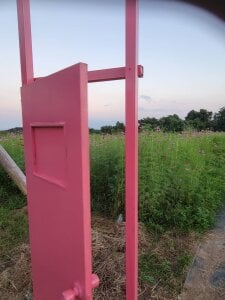 Ryo-j コスモス🌸Flower slika